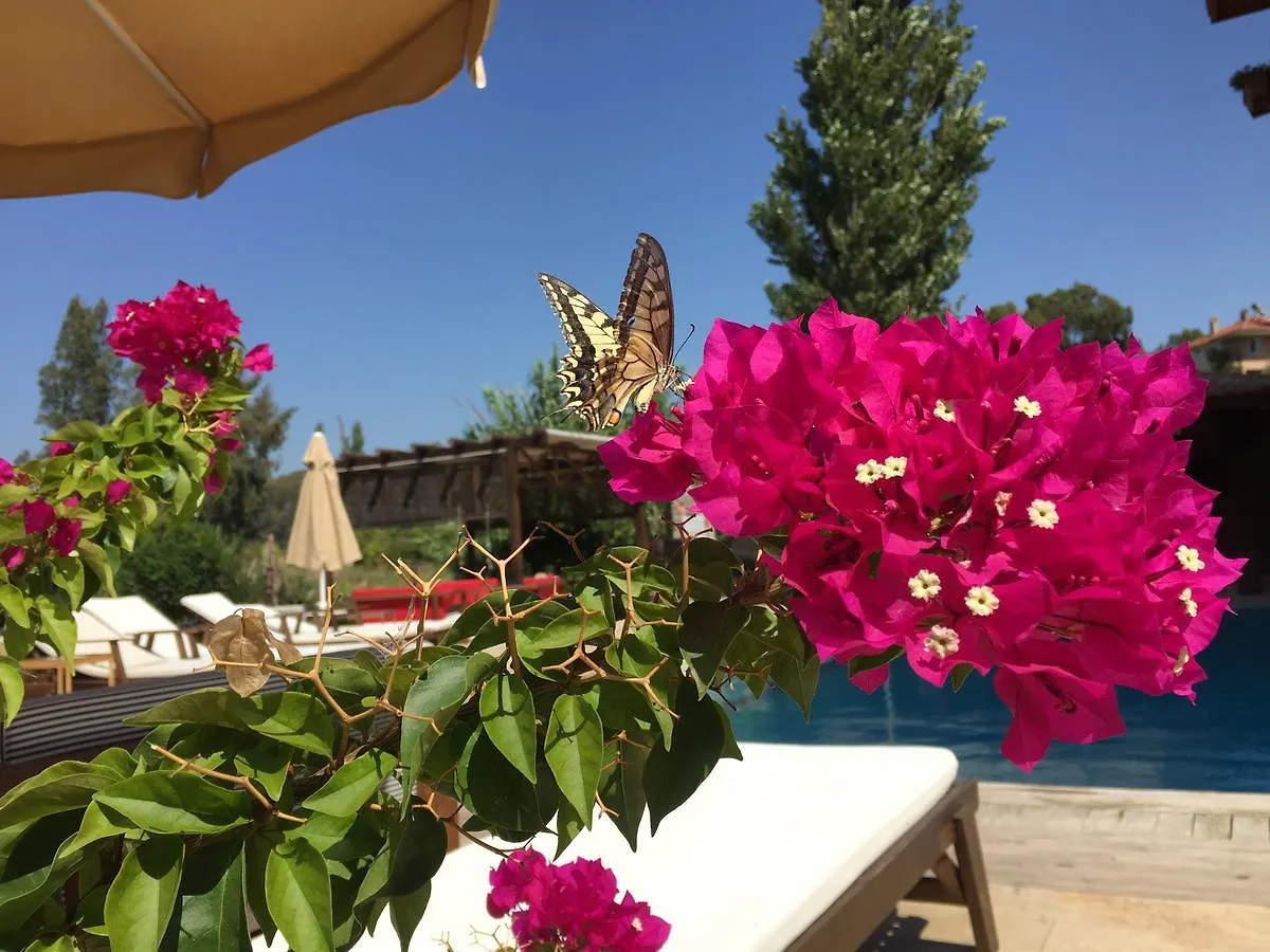 Ucurtma Hotel Akcapinar  土耳其